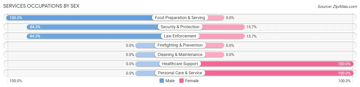 Services Occupations by Sex in Zip Code 87557
