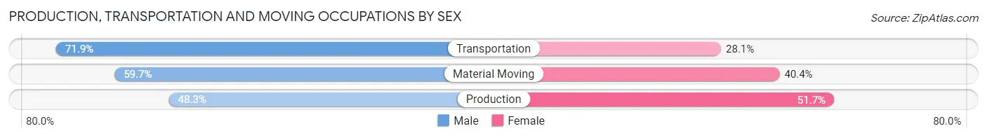 Production, Transportation and Moving Occupations by Sex in Zip Code 87571