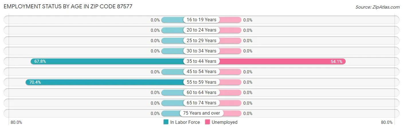 Employment Status by Age in Zip Code 87577