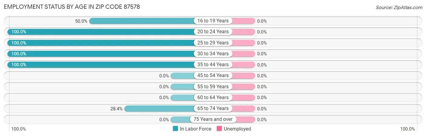 Employment Status by Age in Zip Code 87578