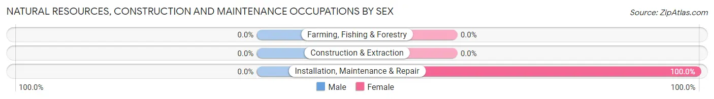 Natural Resources, Construction and Maintenance Occupations by Sex in Zip Code 87578