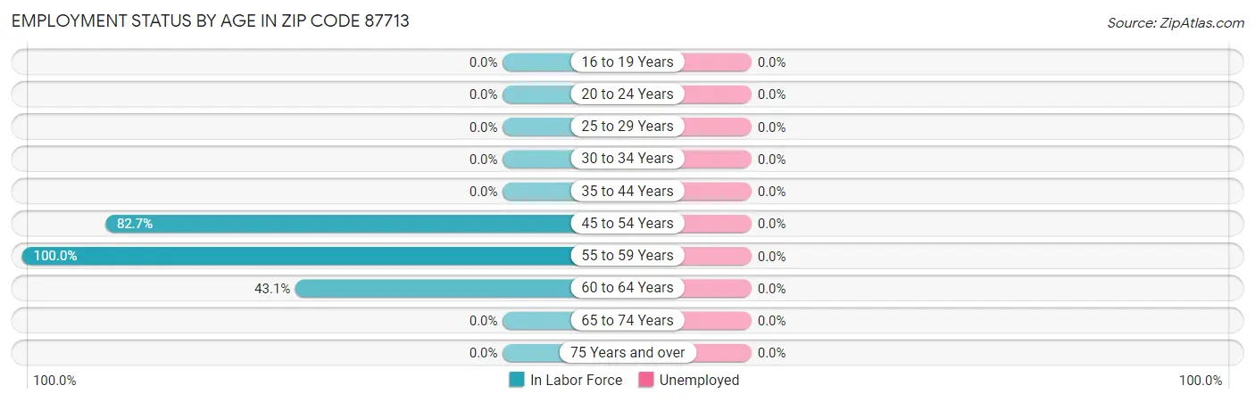 Employment Status by Age in Zip Code 87713