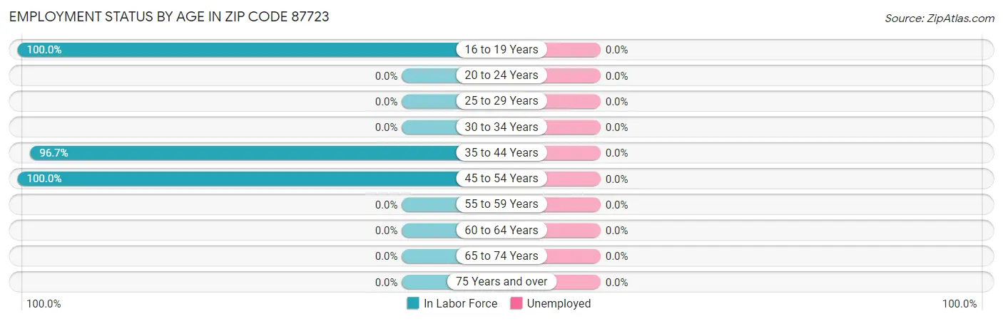 Employment Status by Age in Zip Code 87723