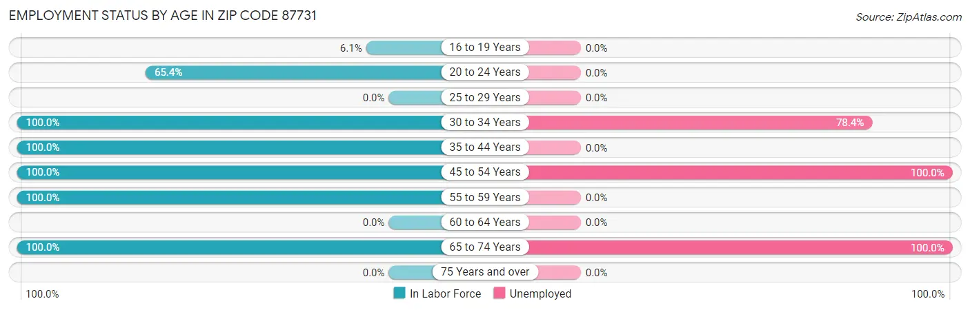 Employment Status by Age in Zip Code 87731