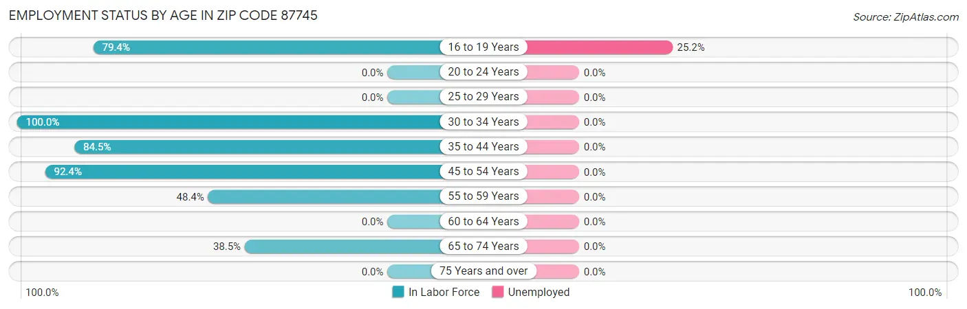 Employment Status by Age in Zip Code 87745