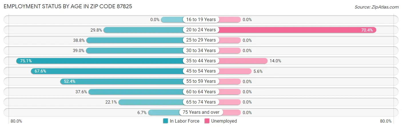 Employment Status by Age in Zip Code 87825