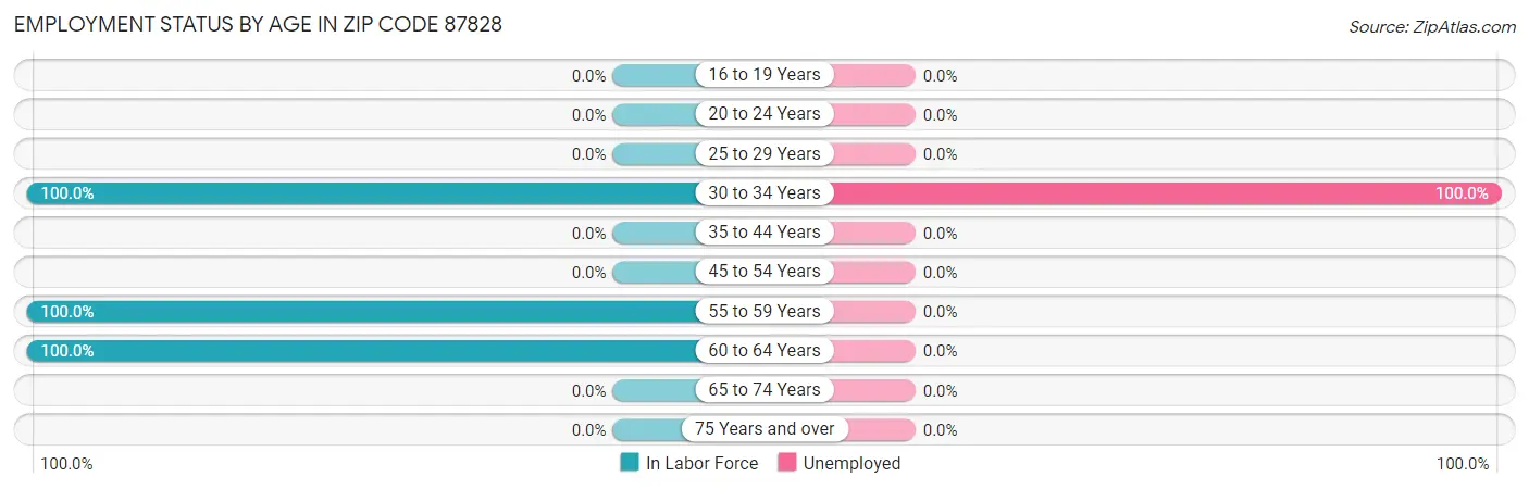 Employment Status by Age in Zip Code 87828