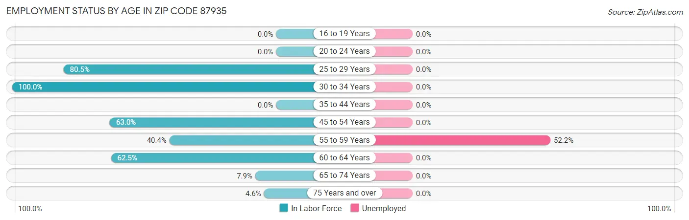 Employment Status by Age in Zip Code 87935