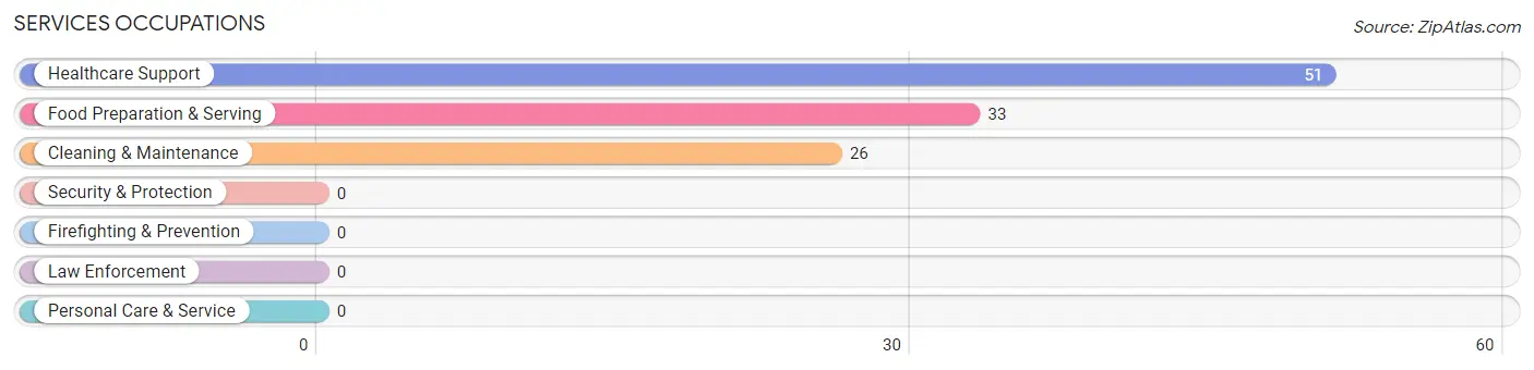 Services Occupations in Zip Code 87942