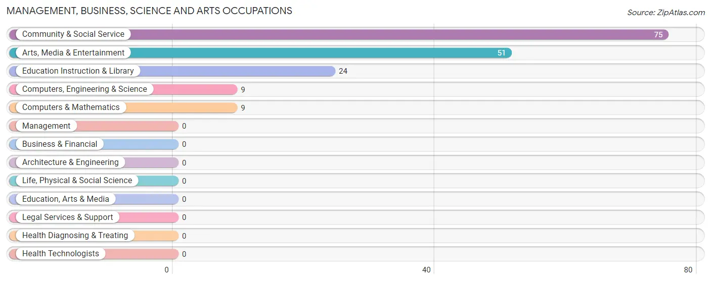 Management, Business, Science and Arts Occupations in Zip Code 88003