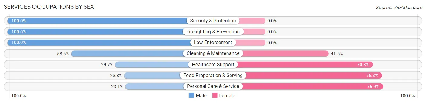 Services Occupations by Sex in Zip Code 88011