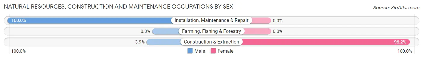 Natural Resources, Construction and Maintenance Occupations by Sex in Zip Code 88039