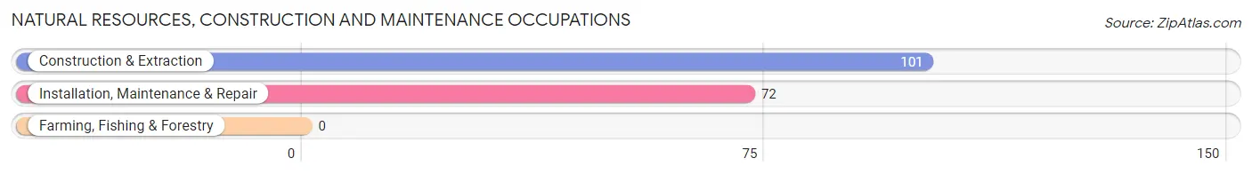 Natural Resources, Construction and Maintenance Occupations in Zip Code 88043