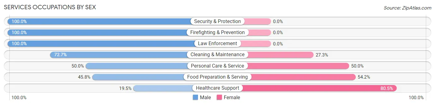 Services Occupations by Sex in Zip Code 88045