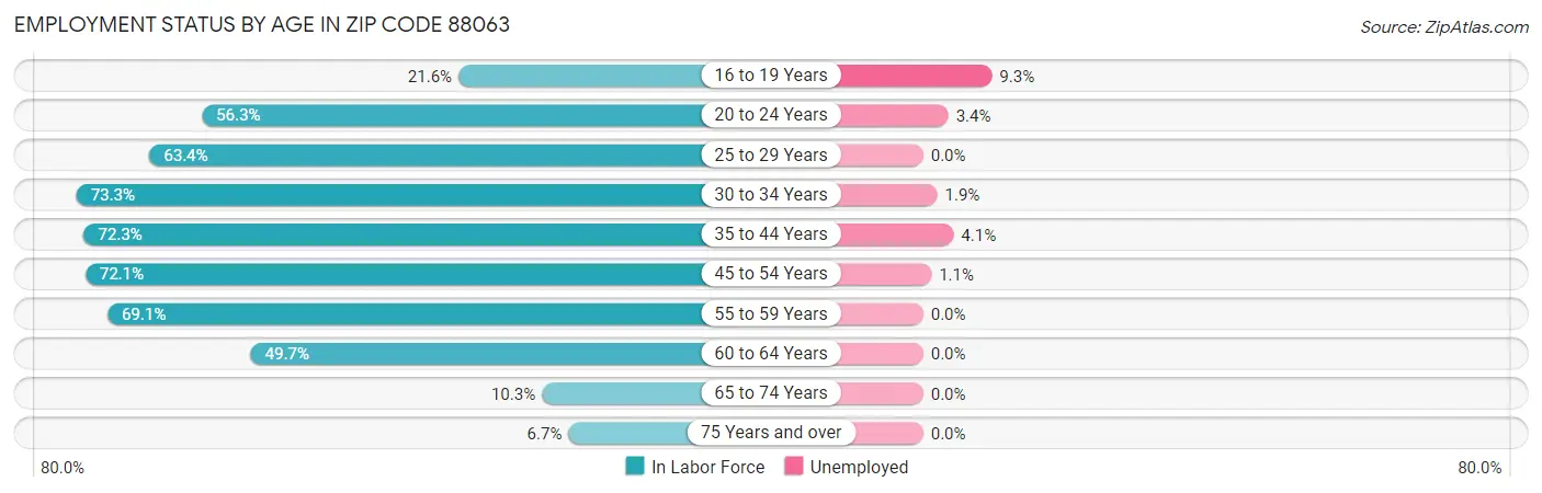 Employment Status by Age in Zip Code 88063