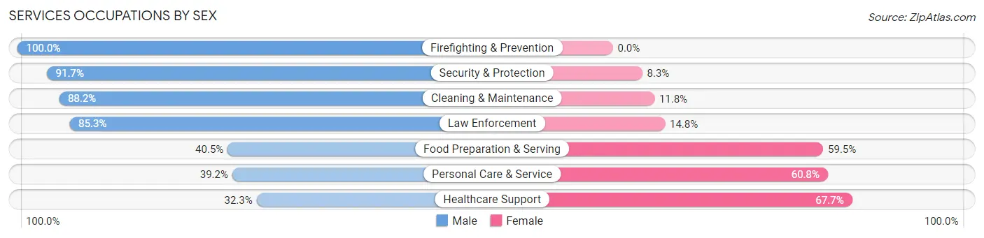 Services Occupations by Sex in Zip Code 88081