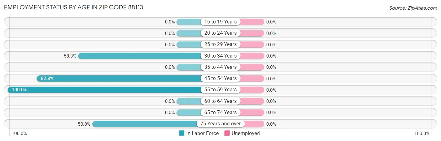 Employment Status by Age in Zip Code 88113