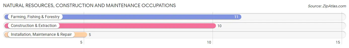 Natural Resources, Construction and Maintenance Occupations in Zip Code 88116