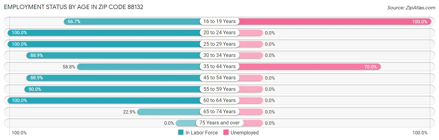 Employment Status by Age in Zip Code 88132
