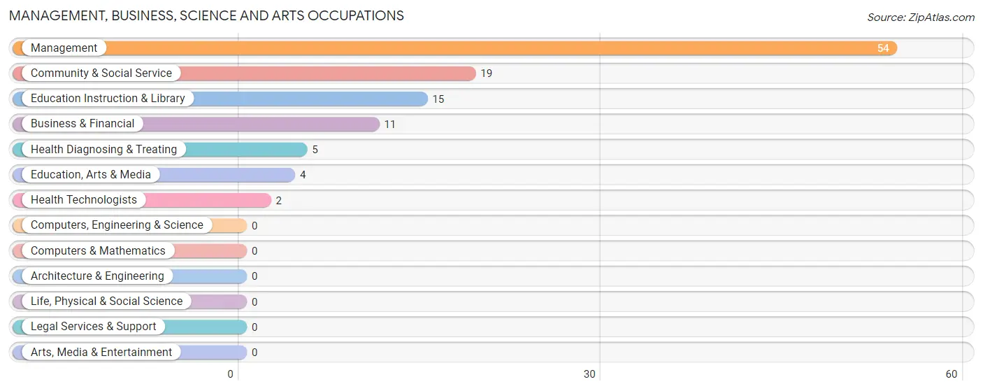 Management, Business, Science and Arts Occupations in Zip Code 88132