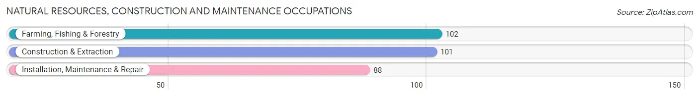 Natural Resources, Construction and Maintenance Occupations in Zip Code 88230