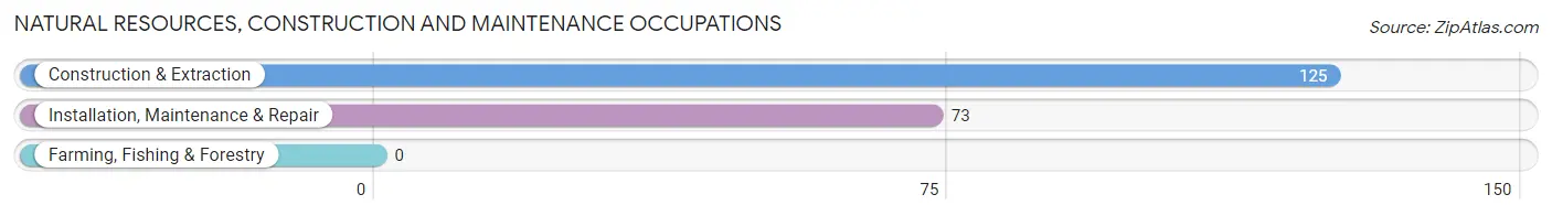 Natural Resources, Construction and Maintenance Occupations in Zip Code 88252