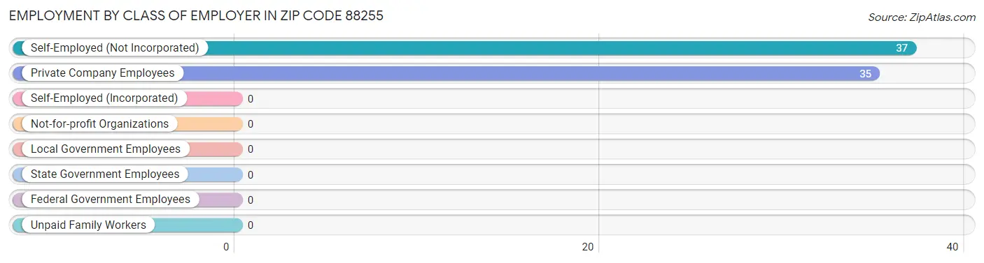 Employment by Class of Employer in Zip Code 88255