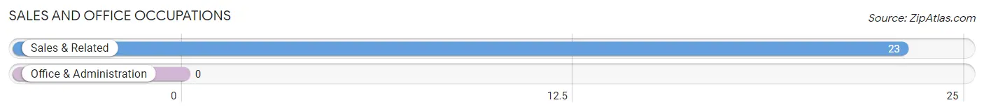 Sales and Office Occupations in Zip Code 88311