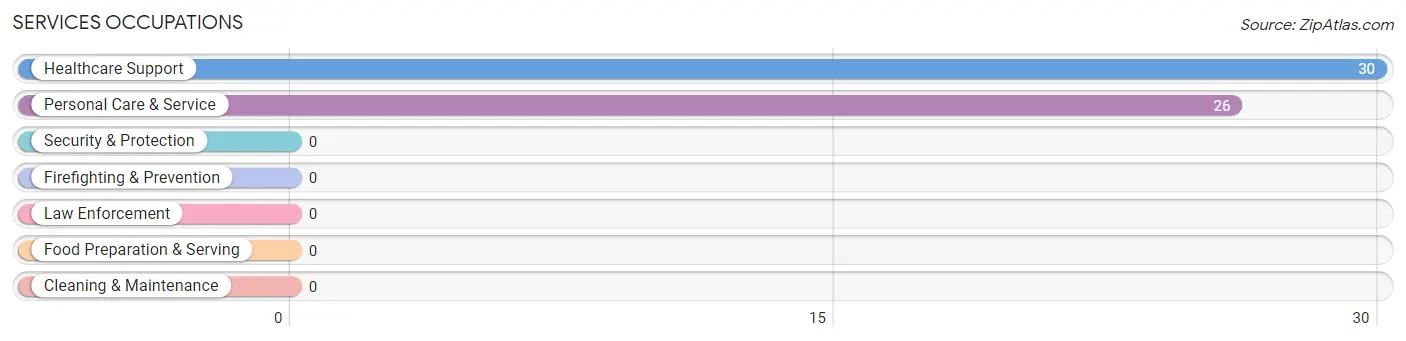 Services Occupations in Zip Code 88311