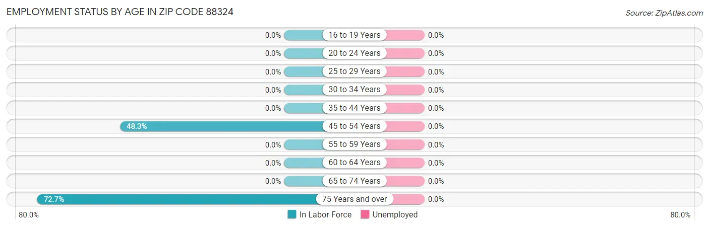 Employment Status by Age in Zip Code 88324