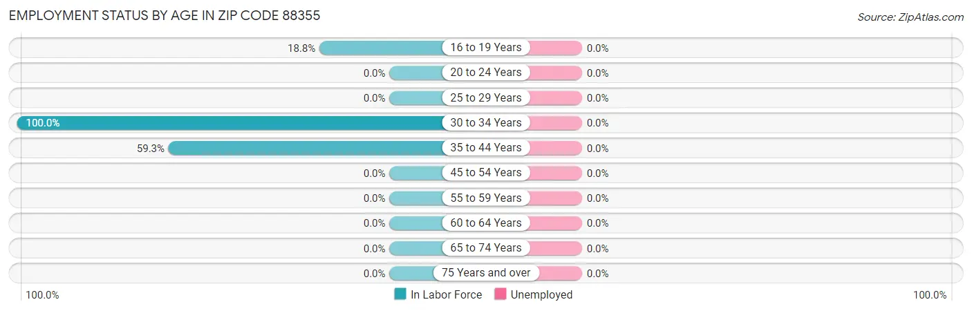 Employment Status by Age in Zip Code 88355