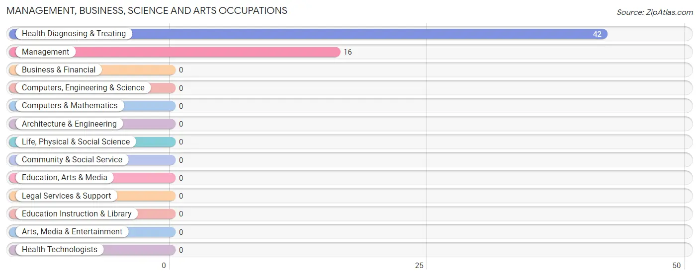 Management, Business, Science and Arts Occupations in Zip Code 89003