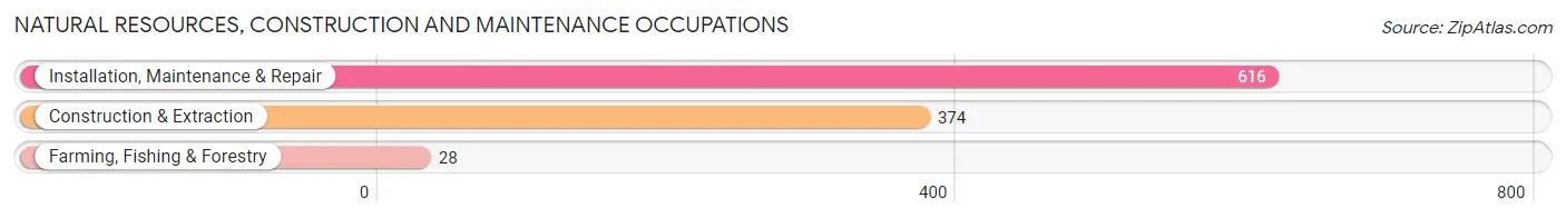 Natural Resources, Construction and Maintenance Occupations in Zip Code 89011