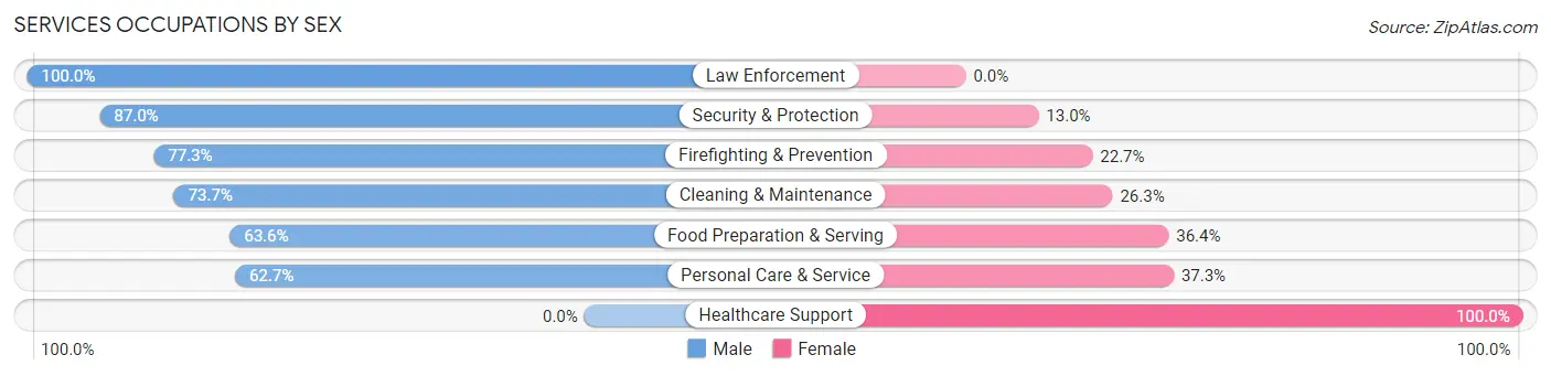 Services Occupations by Sex in Zip Code 89029