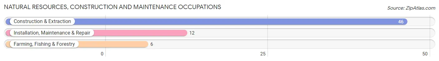 Natural Resources, Construction and Maintenance Occupations in Zip Code 89042