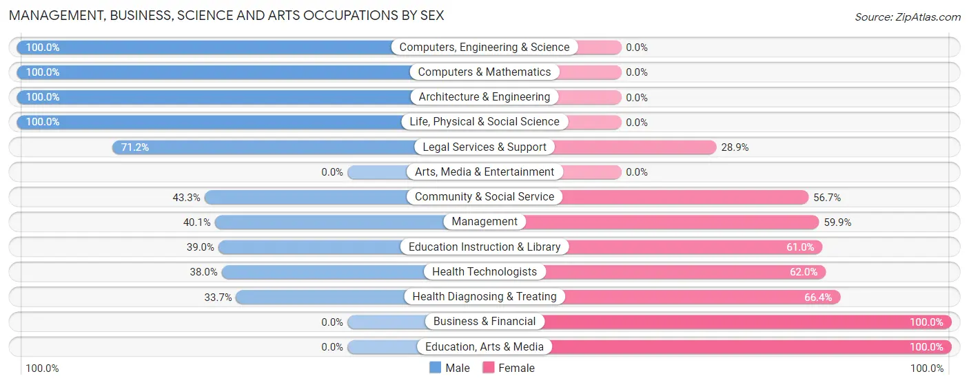 Management, Business, Science and Arts Occupations by Sex in Zip Code 89060
