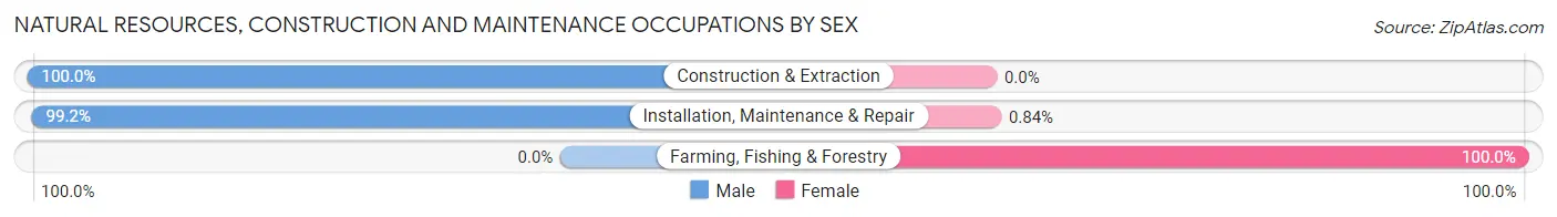 Natural Resources, Construction and Maintenance Occupations by Sex in Zip Code 89102