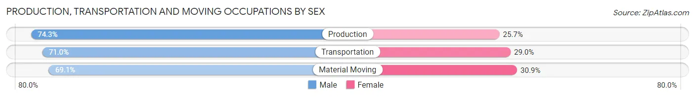 Production, Transportation and Moving Occupations by Sex in Zip Code 89110