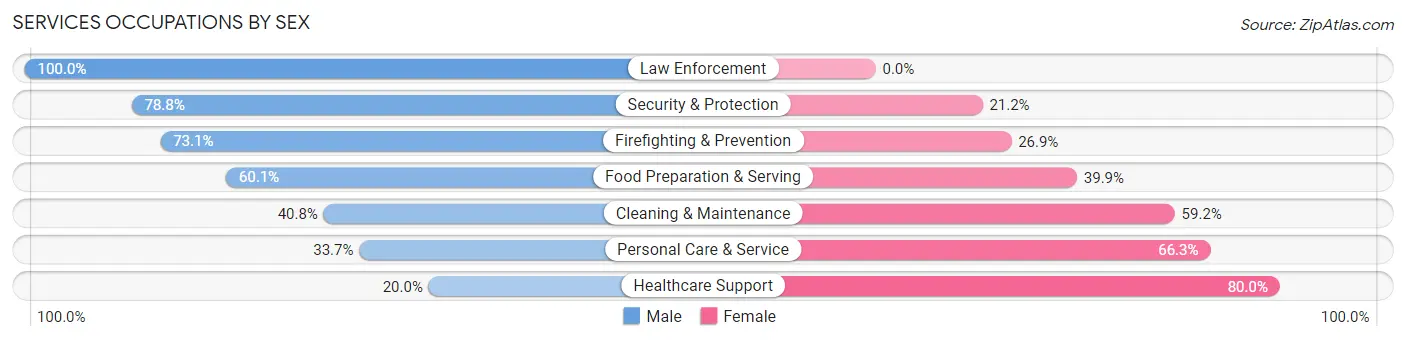Services Occupations by Sex in Zip Code 89110