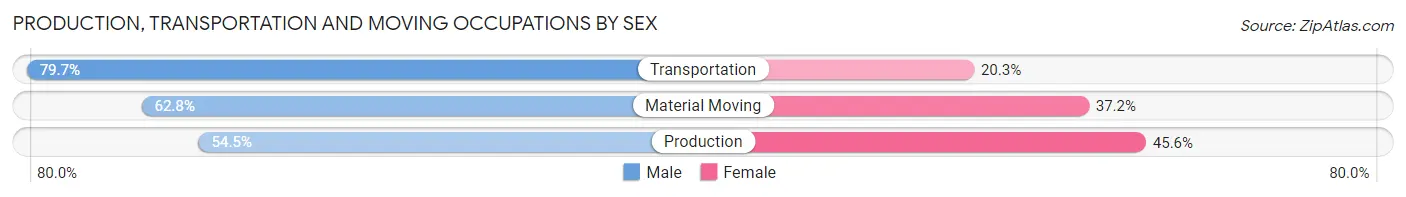 Production, Transportation and Moving Occupations by Sex in Zip Code 89115