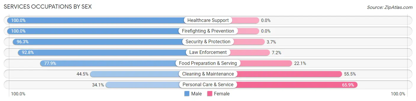Services Occupations by Sex in Zip Code 89179