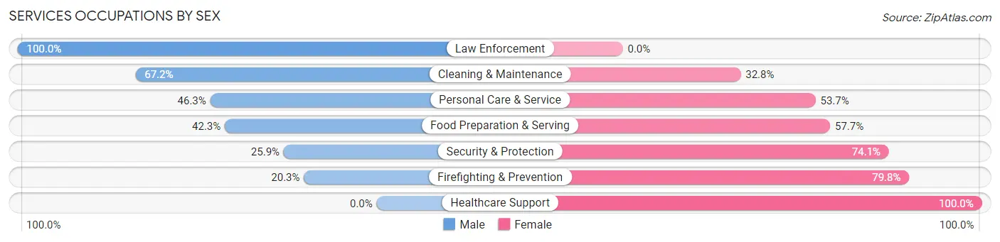 Services Occupations by Sex in Zip Code 89429
