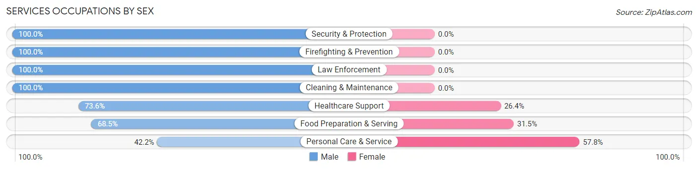 Services Occupations by Sex in Zip Code 89519