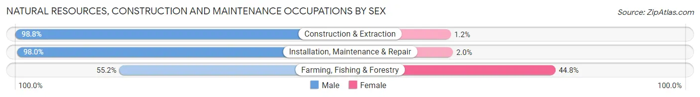 Natural Resources, Construction and Maintenance Occupations by Sex in Zip Code 90255