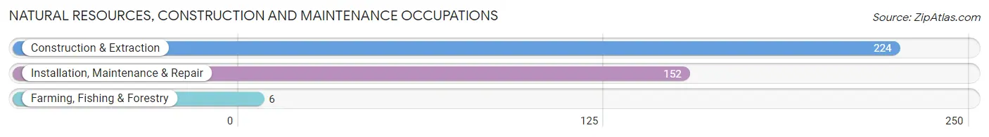 Natural Resources, Construction and Maintenance Occupations in Zip Code 90291