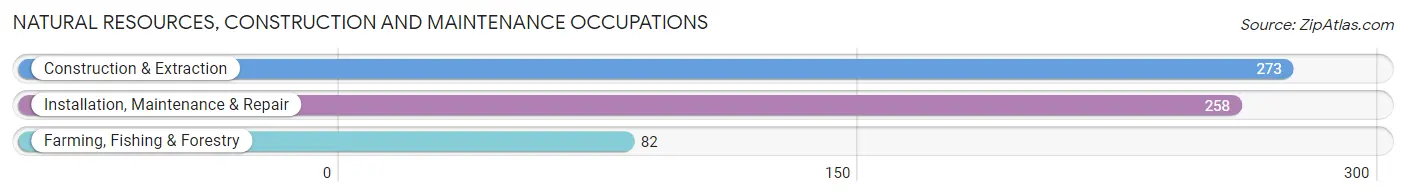Natural Resources, Construction and Maintenance Occupations in Zip Code 90504