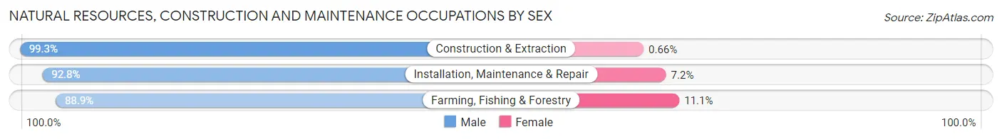 Natural Resources, Construction and Maintenance Occupations by Sex in Zip Code 90813