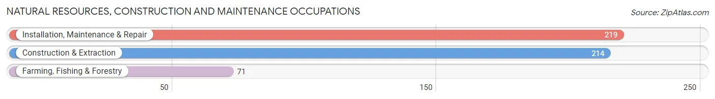 Natural Resources, Construction and Maintenance Occupations in Zip Code 91006