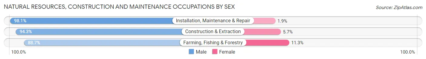 Natural Resources, Construction and Maintenance Occupations by Sex in Zip Code 91010
