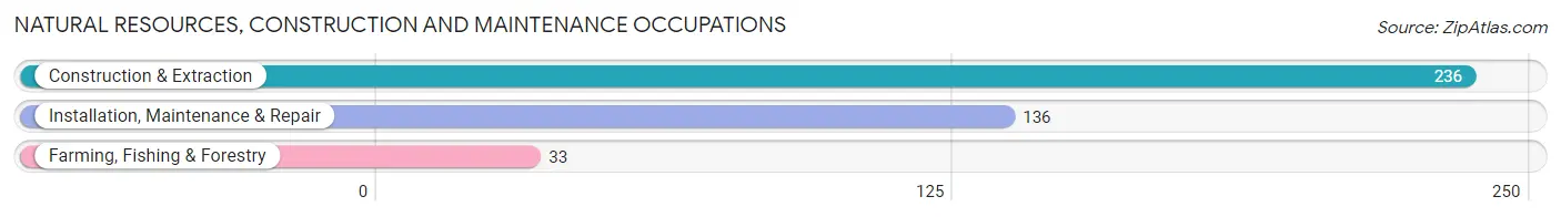 Natural Resources, Construction and Maintenance Occupations in Zip Code 91020